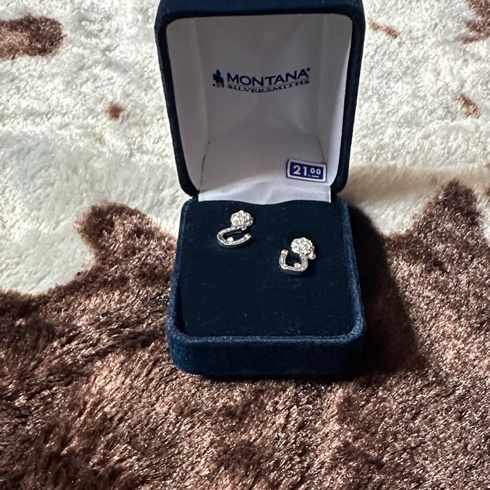 Montana Silversmiths Silver Earrings
